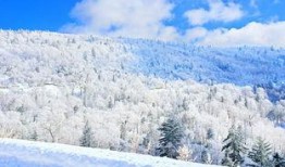 林海雪原在线观看,探寻东北抗联传奇的冰雪世界